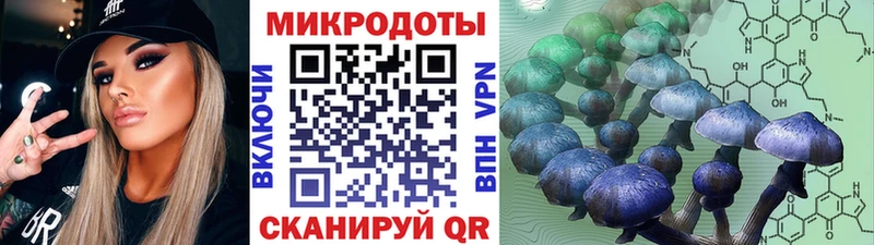 Галлюциногенные грибы ЛСД  Няндома 